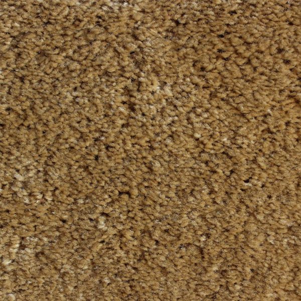 Plain Color Carpets Carpet Dealers in Dubai