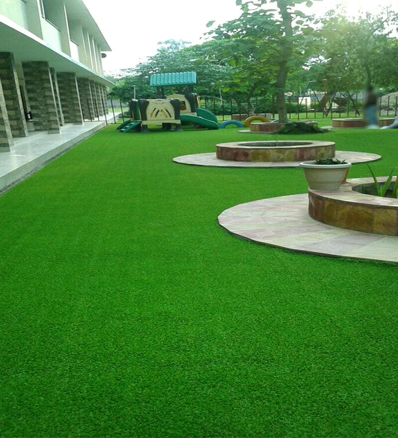 Best Grass suppliers in UAE