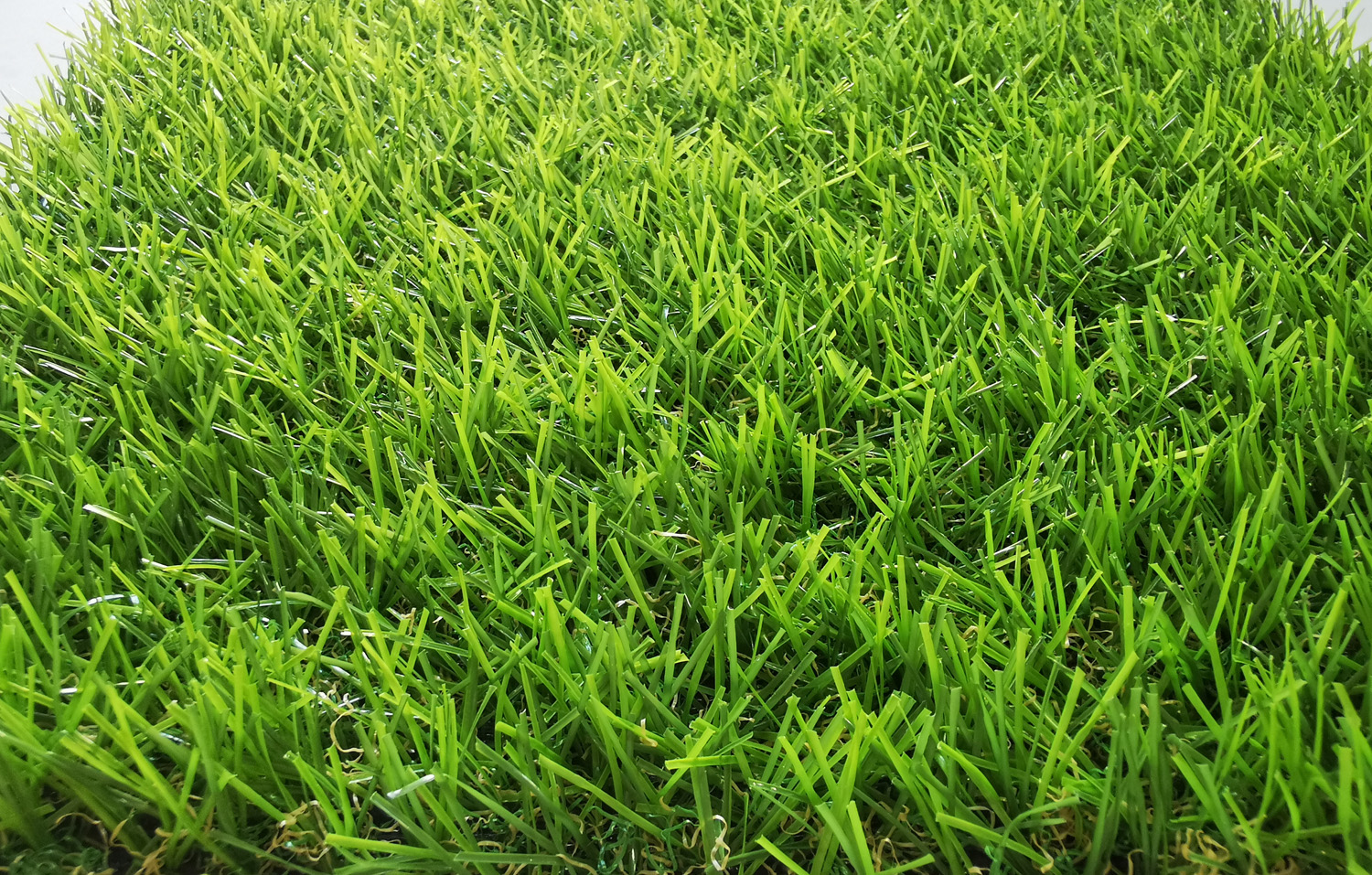 landscaping grass supplier in UAE (1)