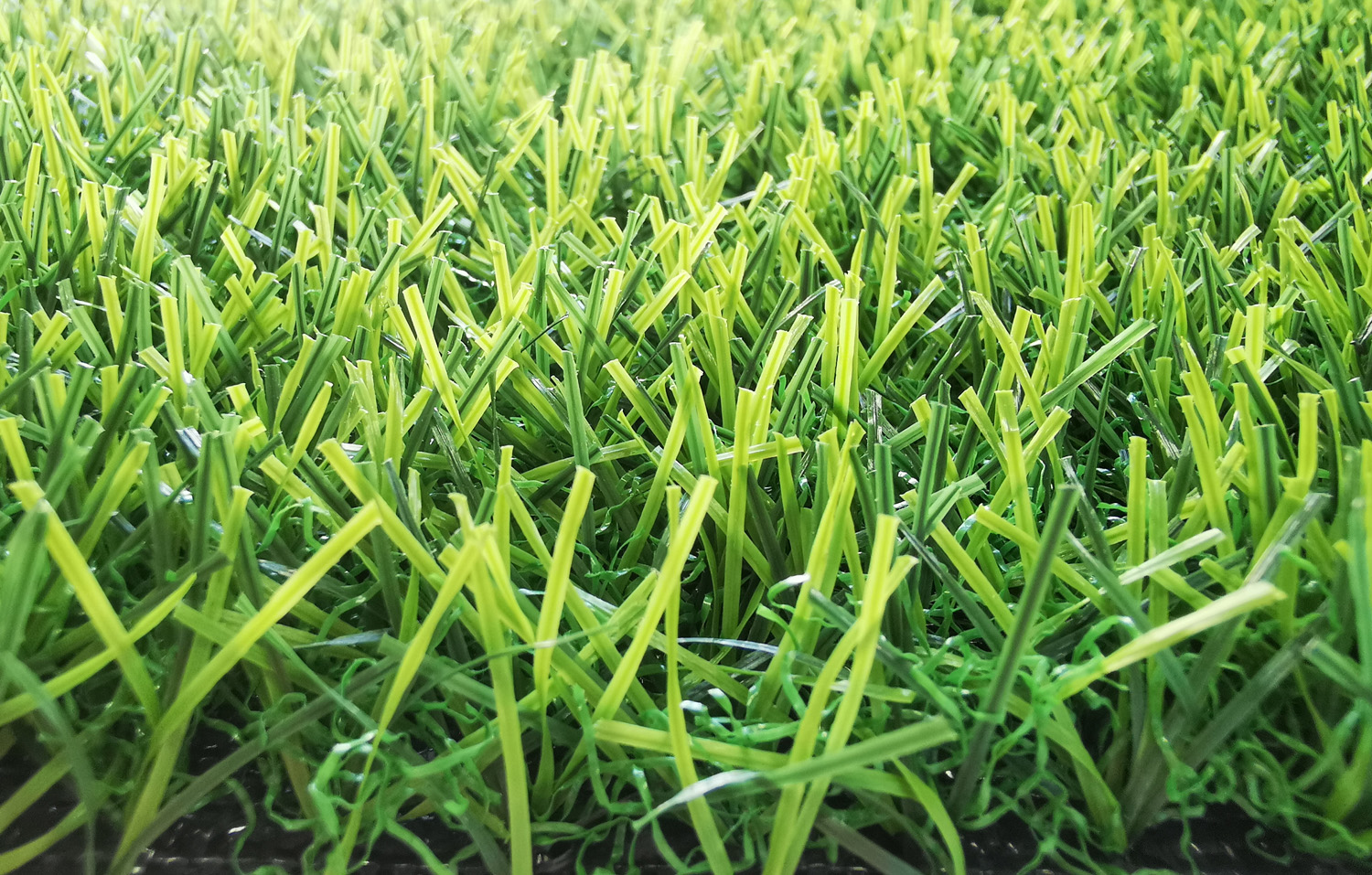 landscaping grass supplier in UAE (1)