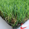 landscaping grass supplier in UAE