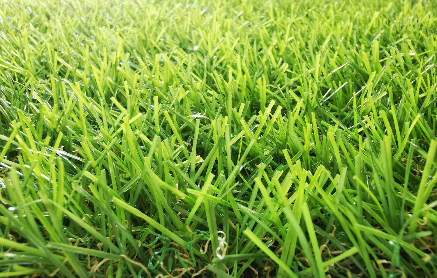 landscaping grass supplier in UAE (2)