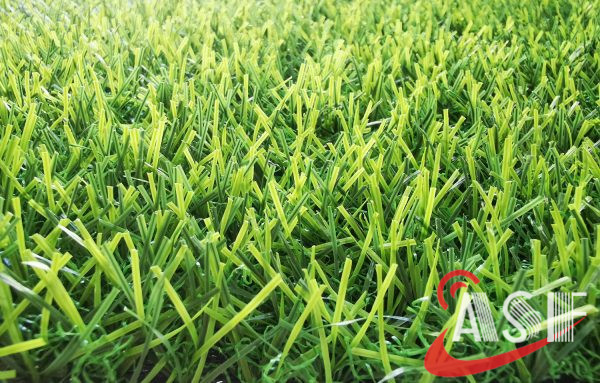 landscaping grass supplier in UAE (2)