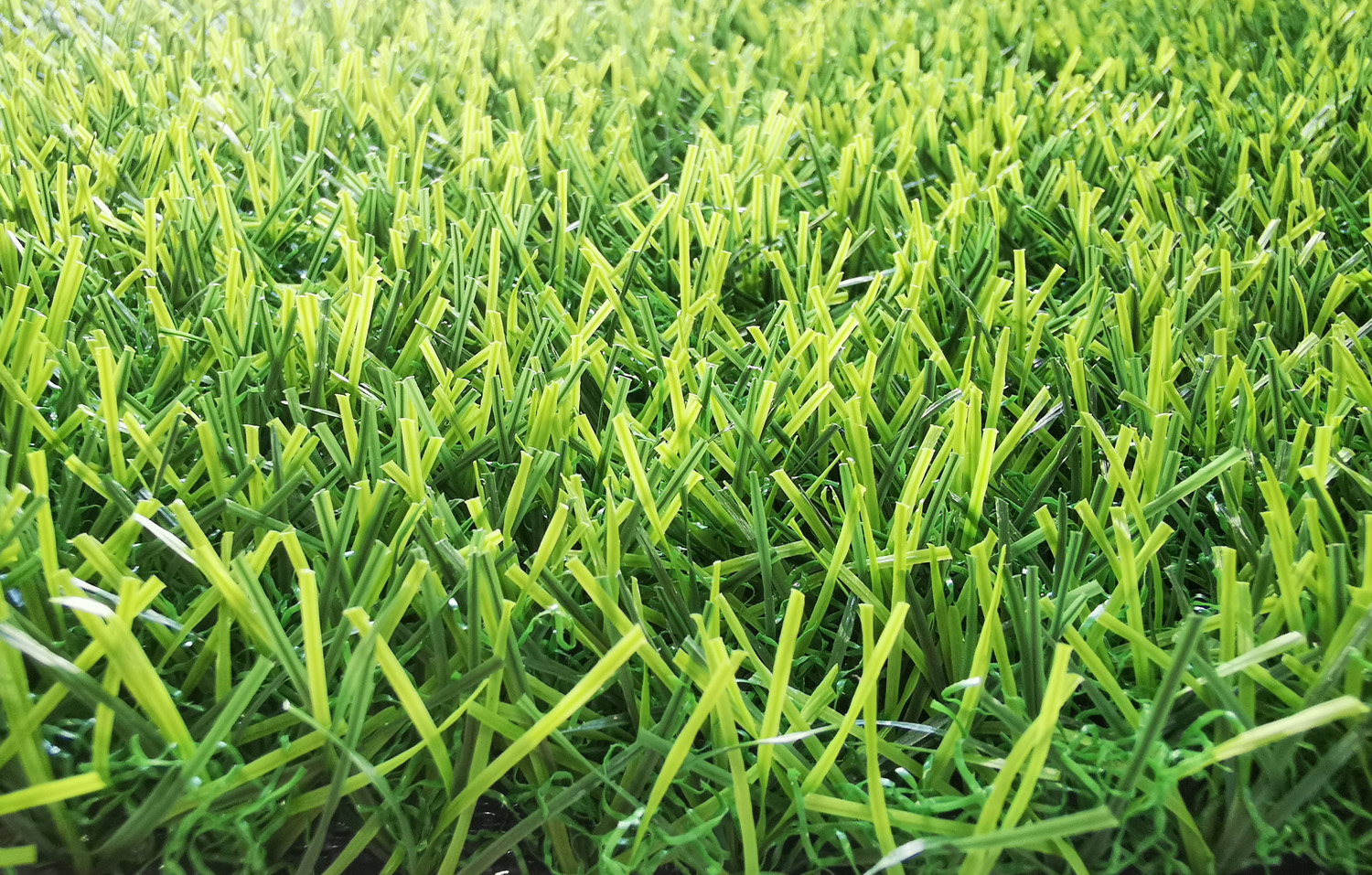 landscaping grass supplier in UAE (2)