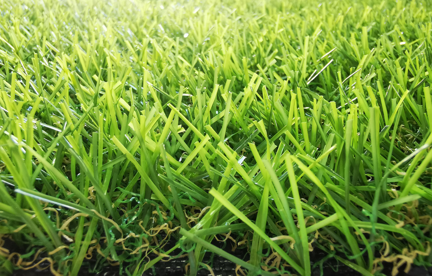 landscaping grass supplier in UAE (3)