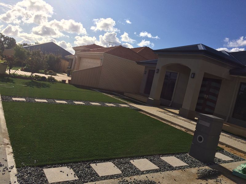 landscaping grass supplier in UAE (3)