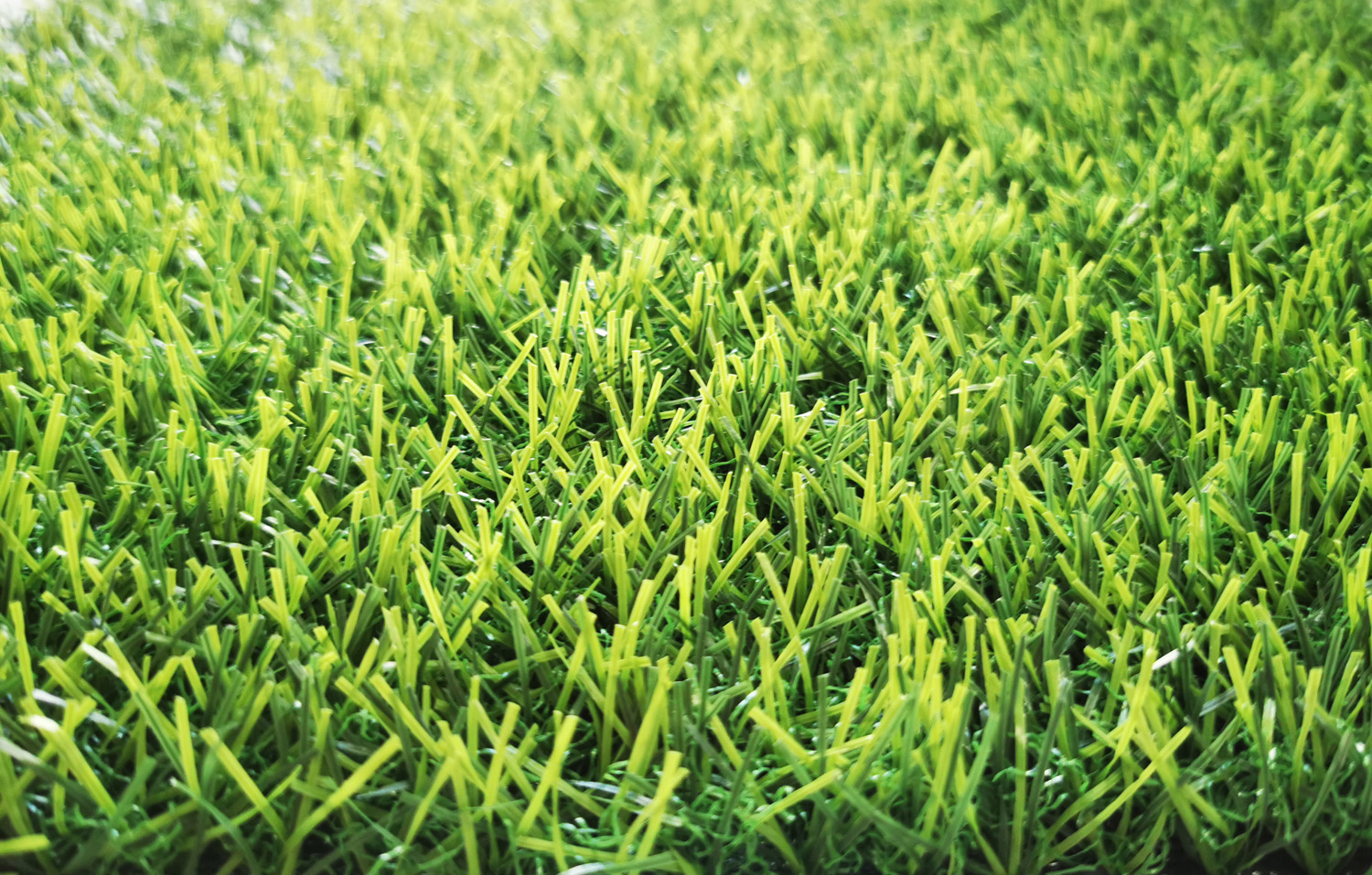 landscaping grass supplier in UAE (3)