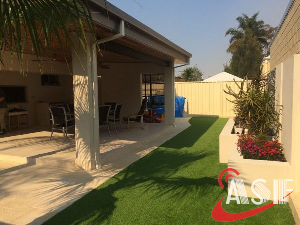 landscaping grass supplier in UAE (4)