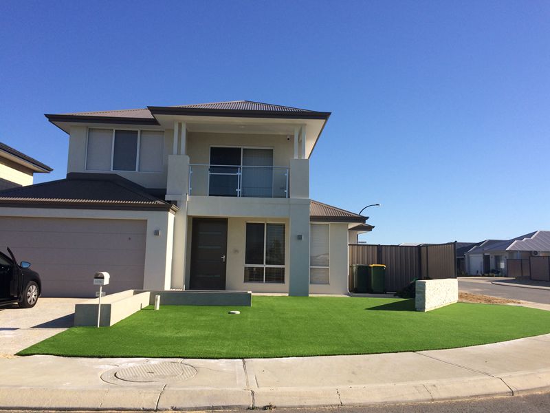 landscaping grass supplier in UAE (5)
