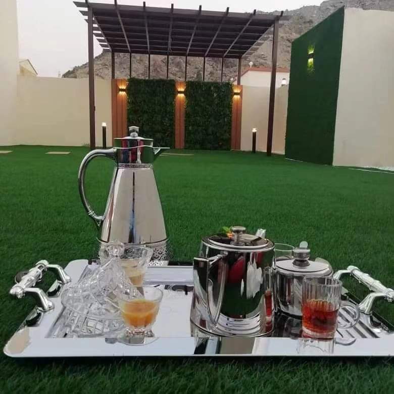 landscaping grass supplier in UAE (6)